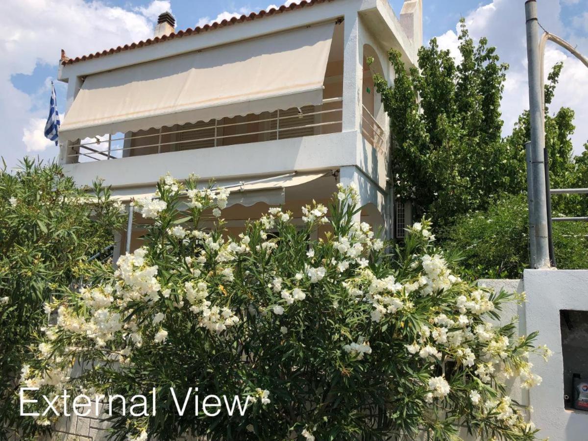 Gnick Apartments 600M From The Coast Lagonisi Exterior foto
